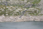 20120810_135341 Lago e Alpe Truzzo.jpg